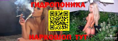 шишки Бузулук