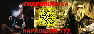 шишки Бузулук