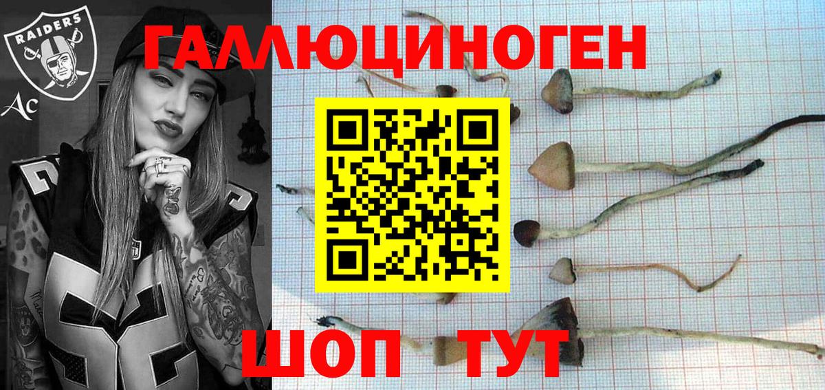 Галлюциногенные грибы GOLDEN TEACHER Южно-Сахалинск