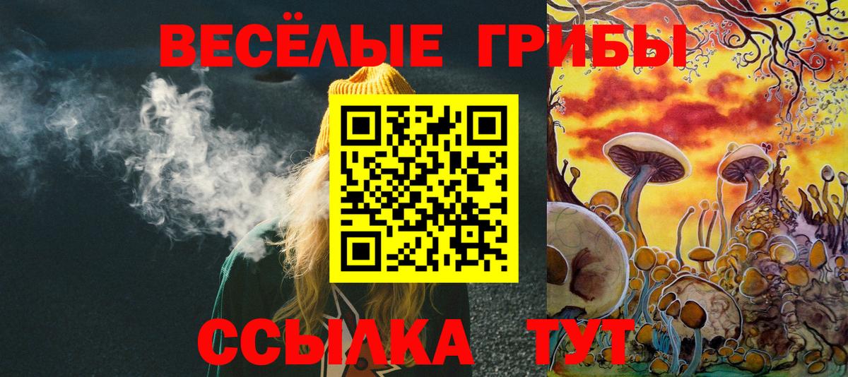 Южно-Сахалинск  купить   Вход с VPN  Галлюциногенные грибы Psilocybine cubensis 